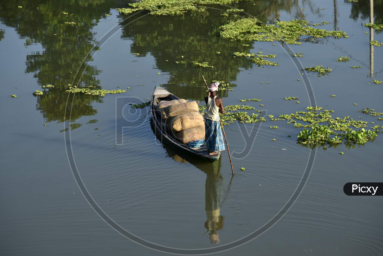 Indian Man Paddle A Boat In A Lake Loaded With Rice Grain Bags, To Sell In The Nearest Market, At Kayakuchi Village In Barpeta District Of Assam