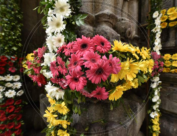 Decorative Colourful Daisy Flowers