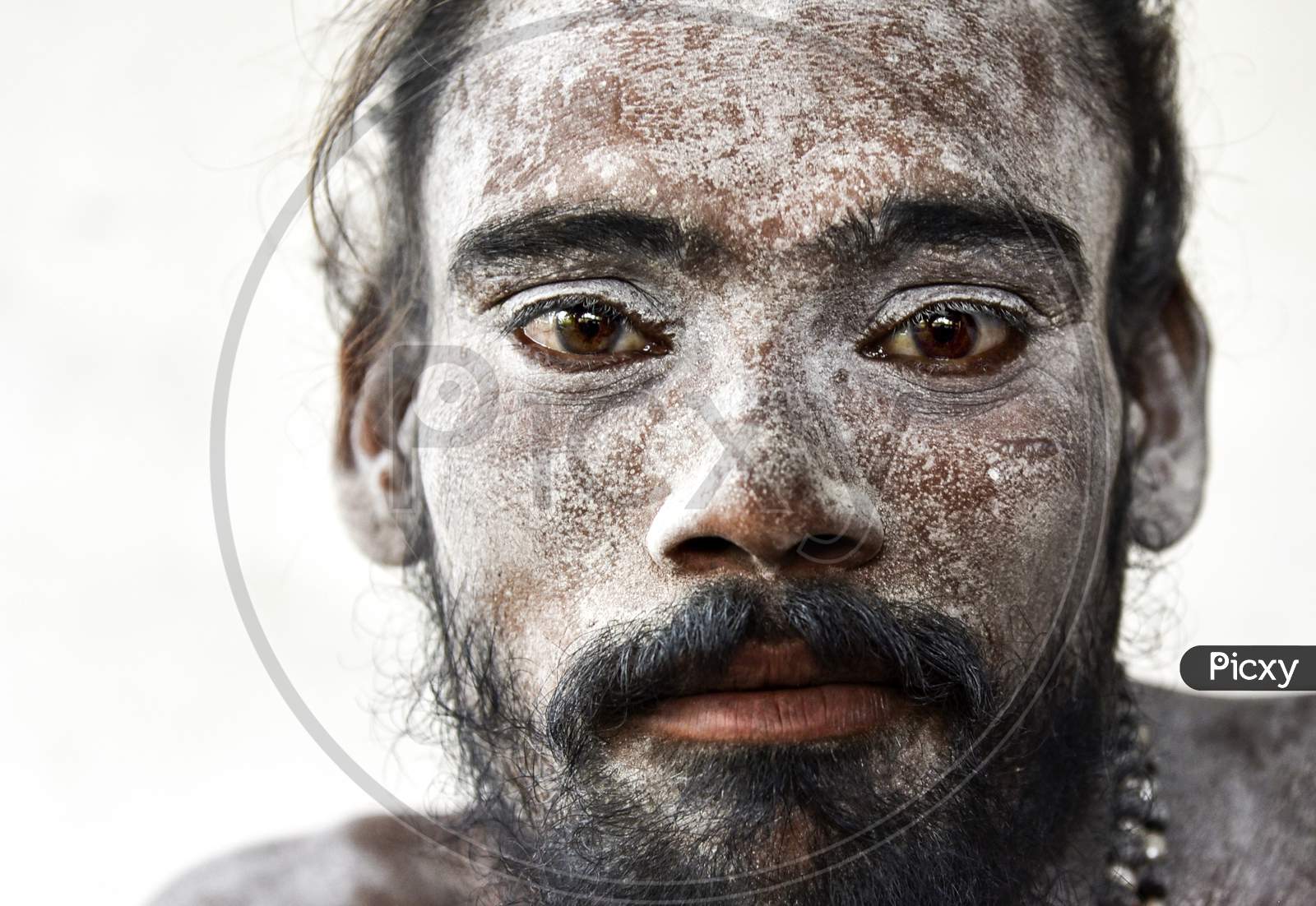Portrait Of An Indian Sadhu Or Baba   With Ash All on His Face