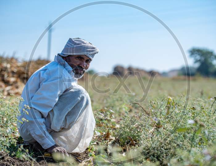 A Farmer Worker In an Fields