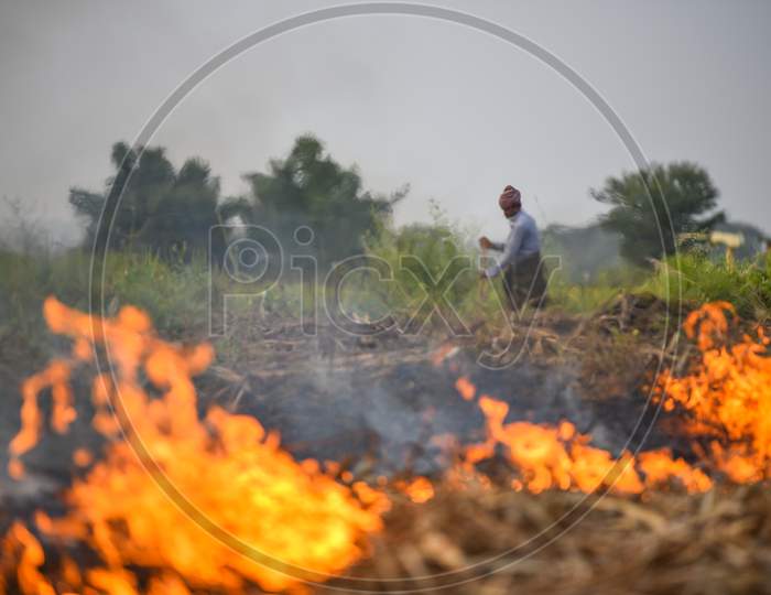 A farmer watches Stubble Burning of a Sugar Cane crop causing Smoke and Air Pollution
