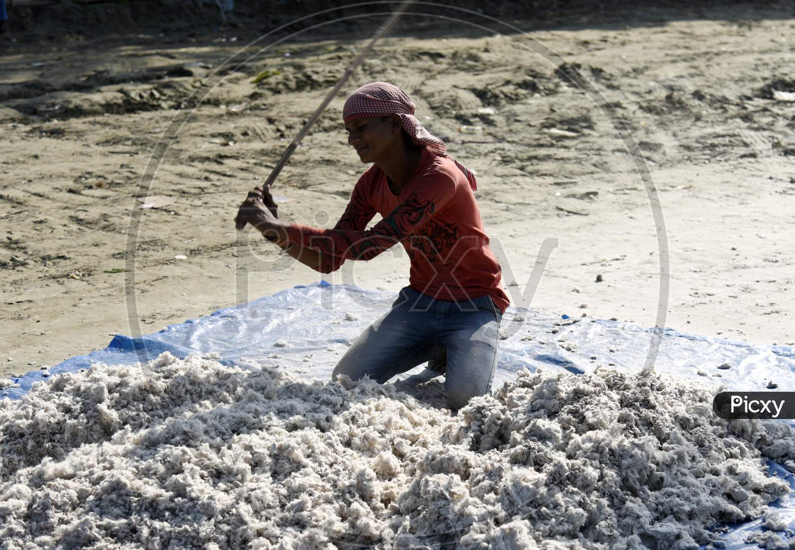 A Boy Making A Blanket Made Of Cotton As Winter Season Starts,   In Guwahati