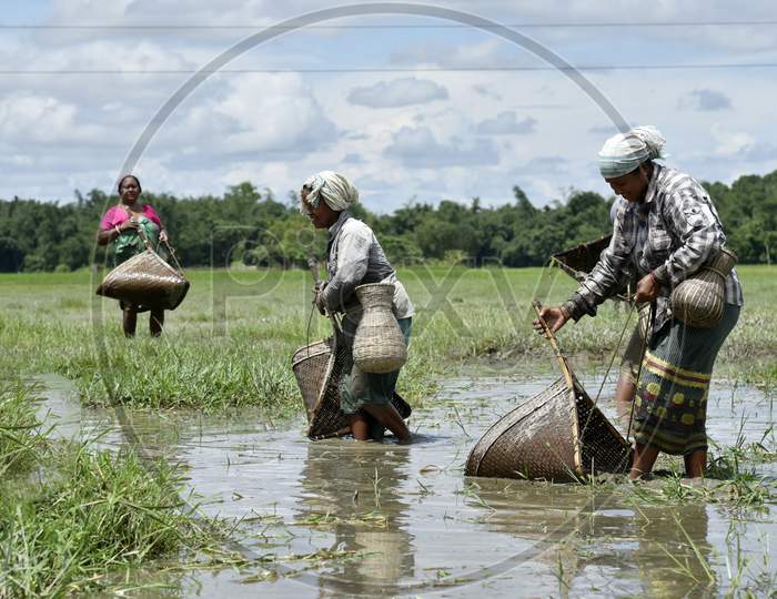 Community Fishing  In Assam