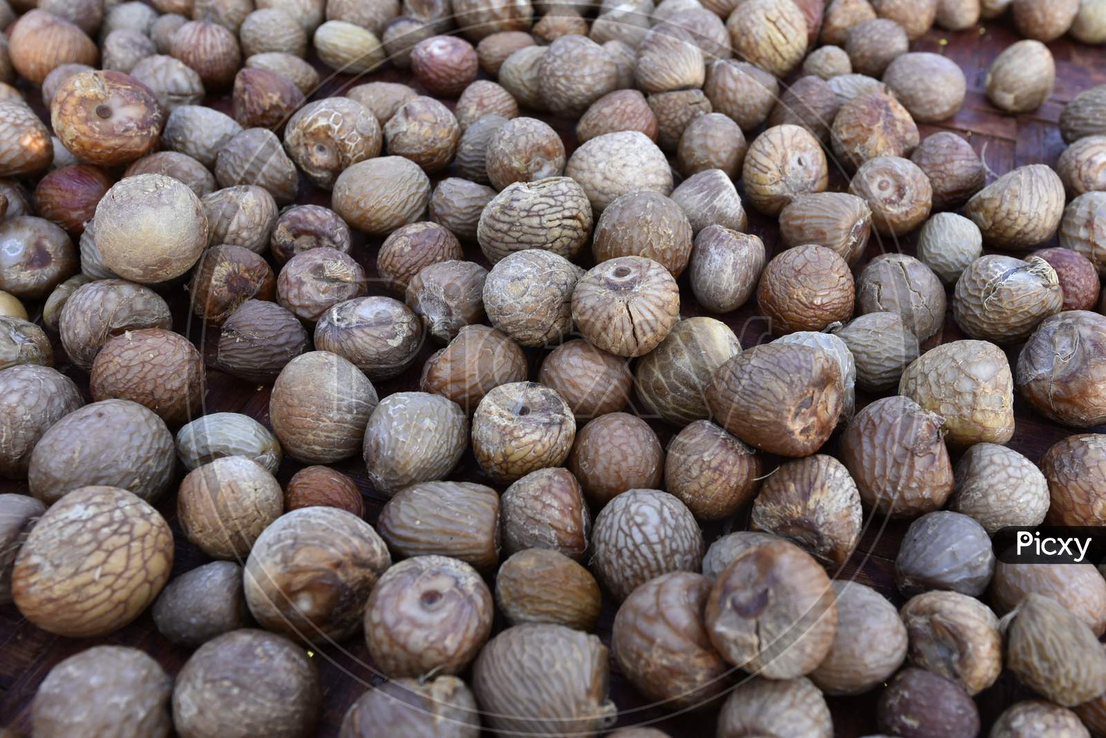 Pile Of  Dried Areca Nuts, Also Known As Betel Nuts Or Supari, At Howly In Barpeta District Of Assam.
