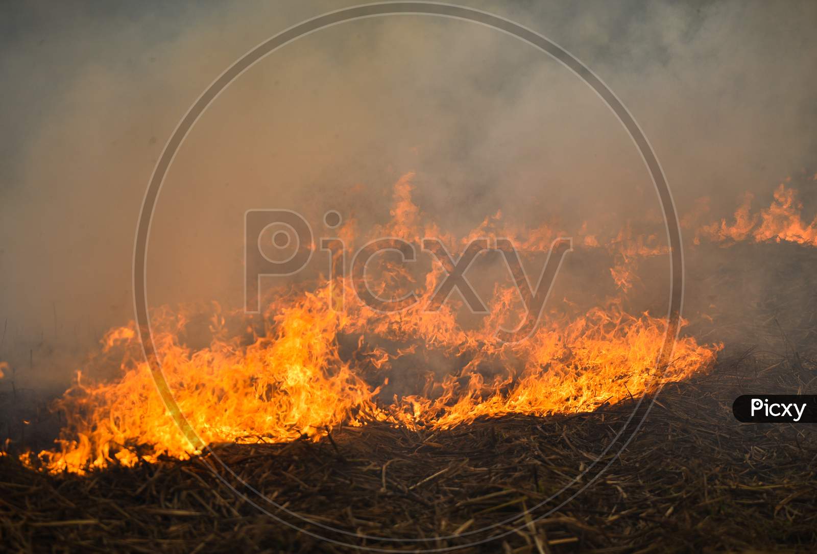 Stubble Burning of a Sugar Cane crop causing Smoke and Air Pollution