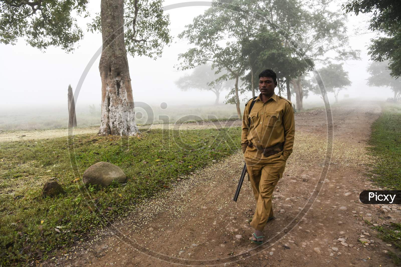 A Forest Guard On Duty In A Foggy Morning In Kaziranga National Park, In Golaghat District Of Assam In India