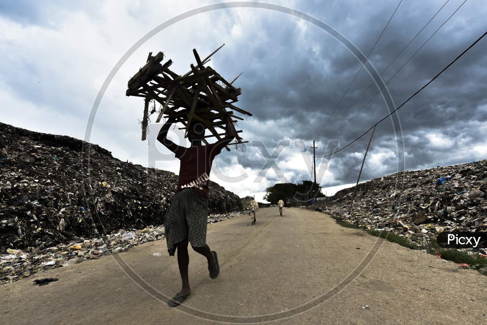 Sanitary Worker Carrying  Waste At Dumping Yard Or ground In Guwahati