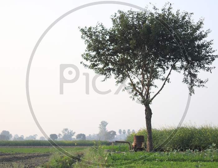 Agricultural Fields In an Rural Villages
