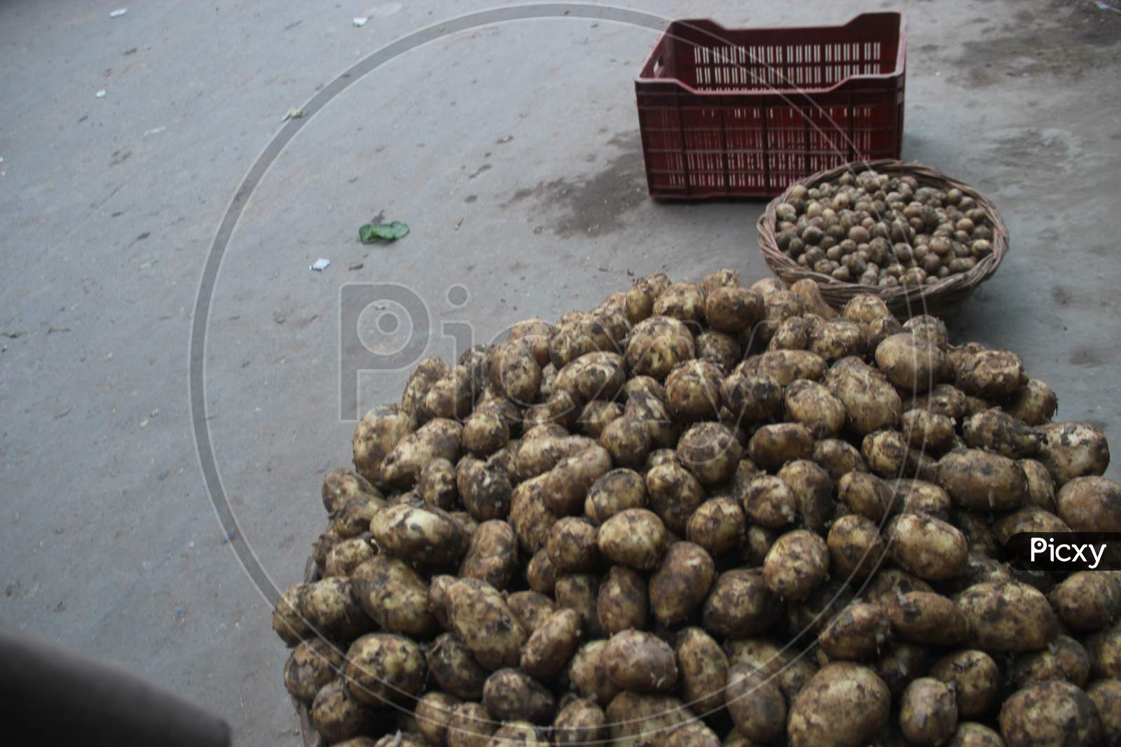 Freshly Harvested Potatoes In an Vegetable Vendor Stall