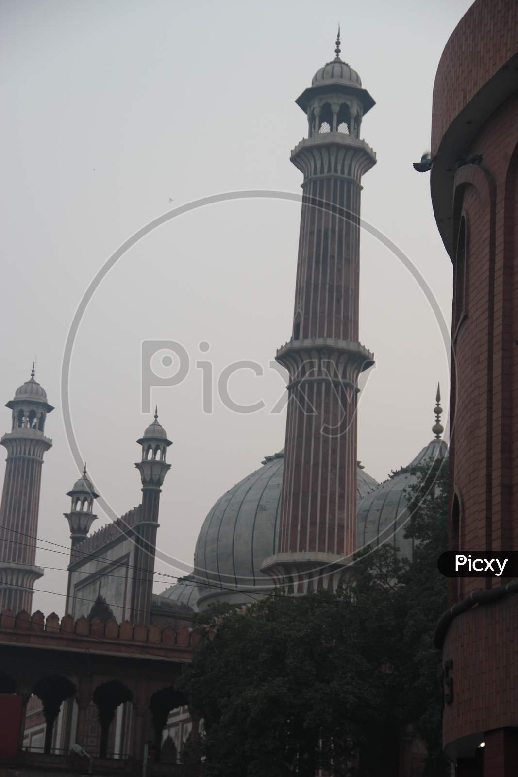 The Masjid e Jahan Numa, commonly known as the Jama Masjid of Delhi