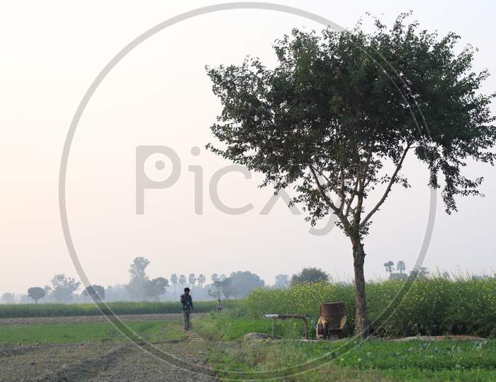 Agricultural Fields in Rural Villages
