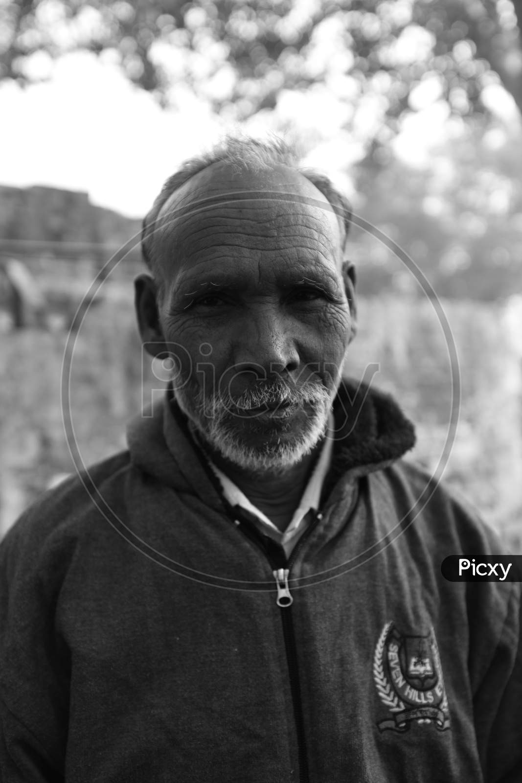 Portrait Of An Farmer In Indian Rural Villages
