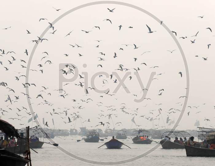Siberian Birds Fly Over Ganga River During Smoke Morning In Prayagraj