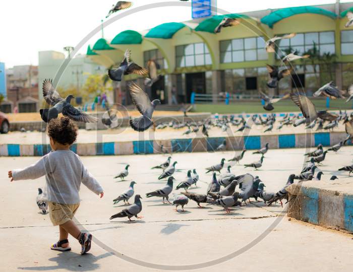 A Child Playing With Pigeons
