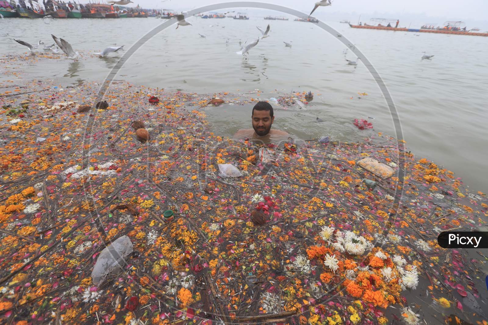 Devotee Taking Holy Bath In  Polluted Area Of Ganga River in Prayagraj