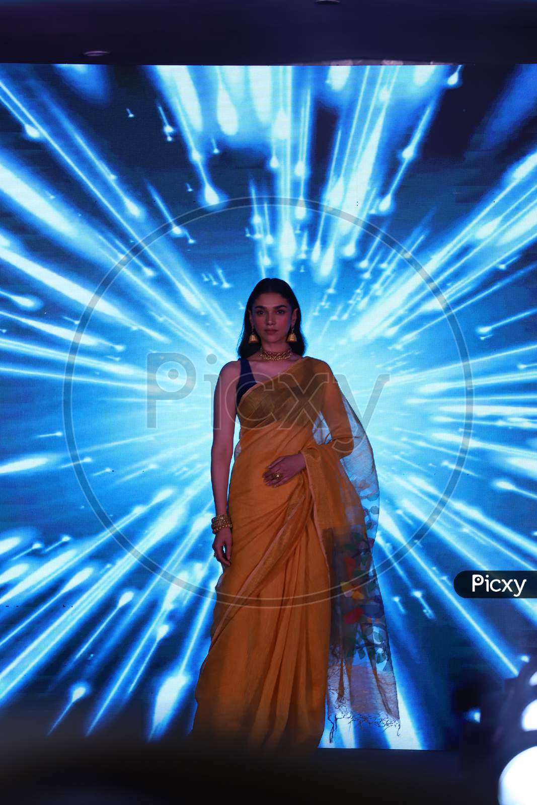 Indian Actress And Model Aditi Rao Hidari  In  an Fashion Event
