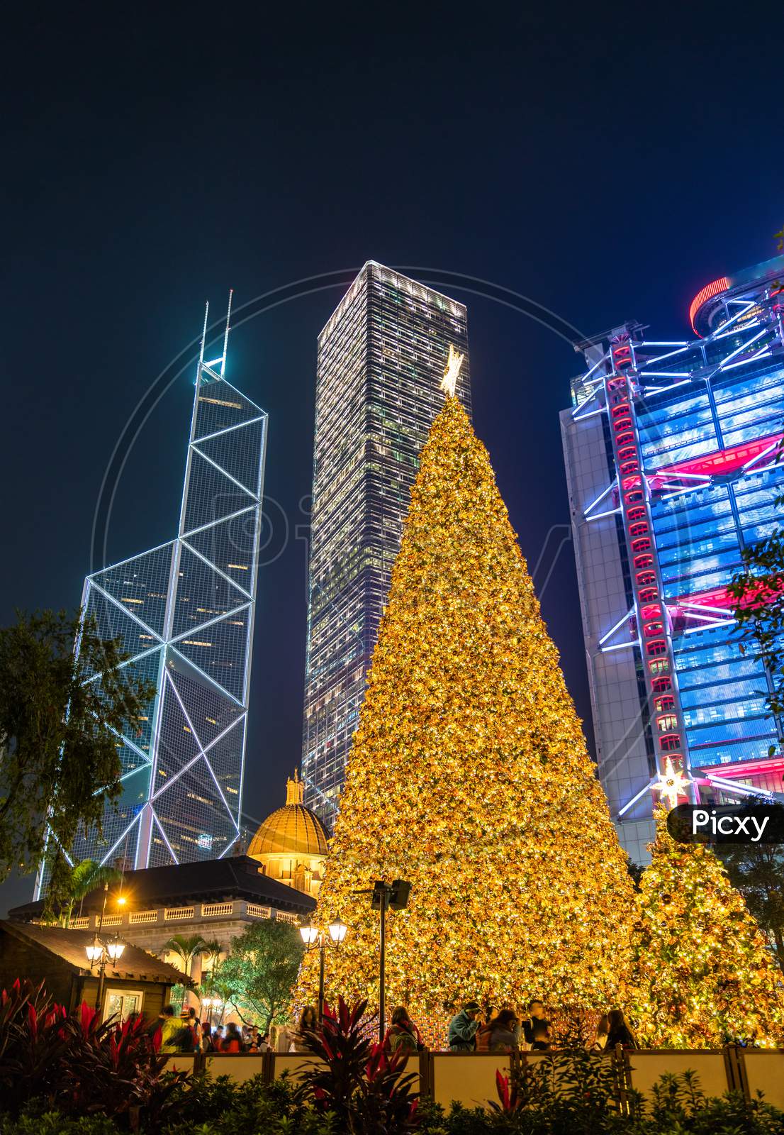 Christmas Tree In The Central District Of Hong Kong