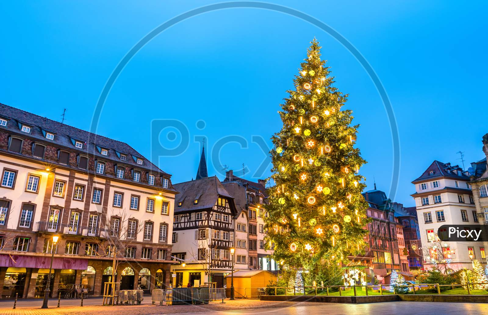 Christmas Tree On Place Kleber In Strasbourg, France