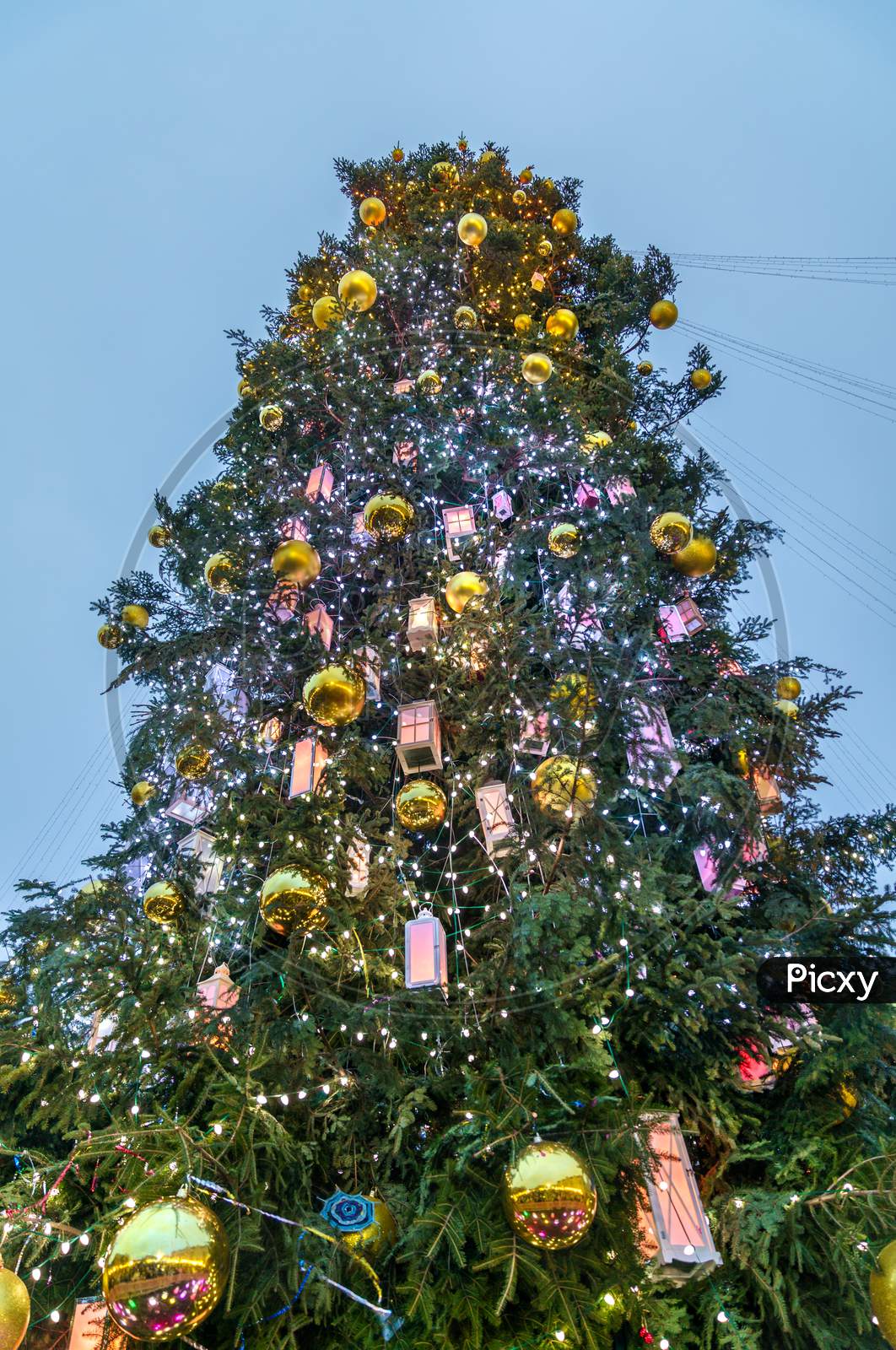 Christmas Tree On Sophia Square In Kiev, Ukraine