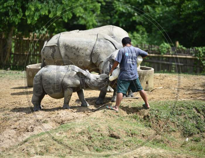 Caretakers Feeding White Rhinoceros Baby in Kaziranga National Park