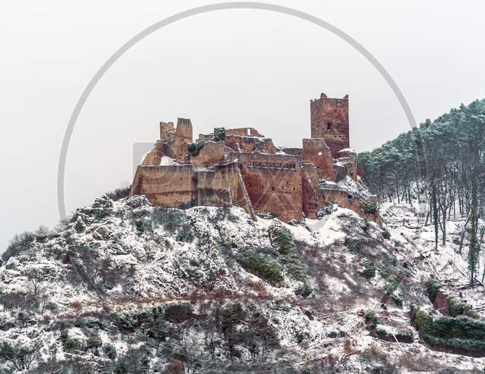Saint Ulrich Castle In The Vosges Mountains Near Ribeauville. Alsace, France