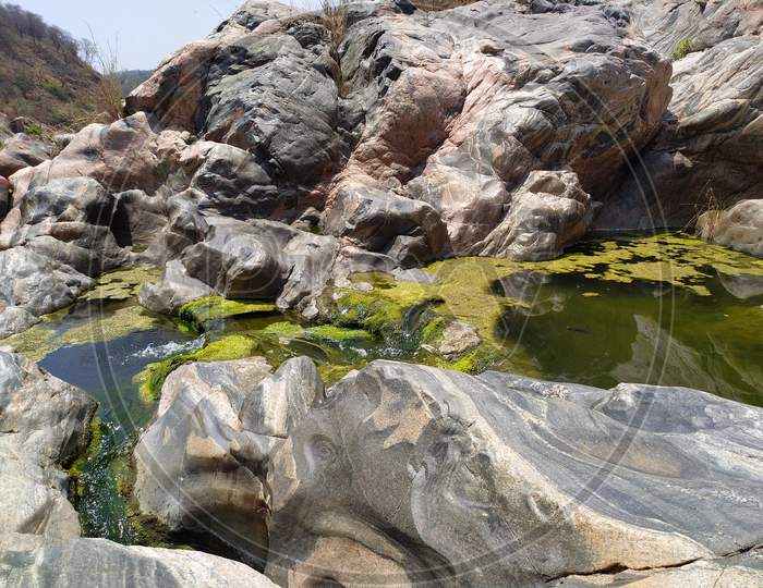 Green Algae with Rocks
