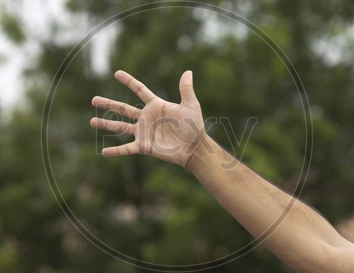 Male Hand Gesture And Signs
