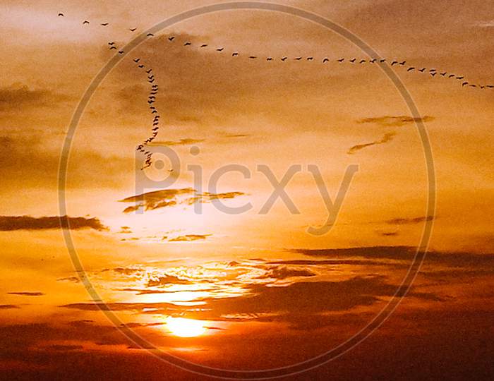 The beautiful sunset with flying birds.