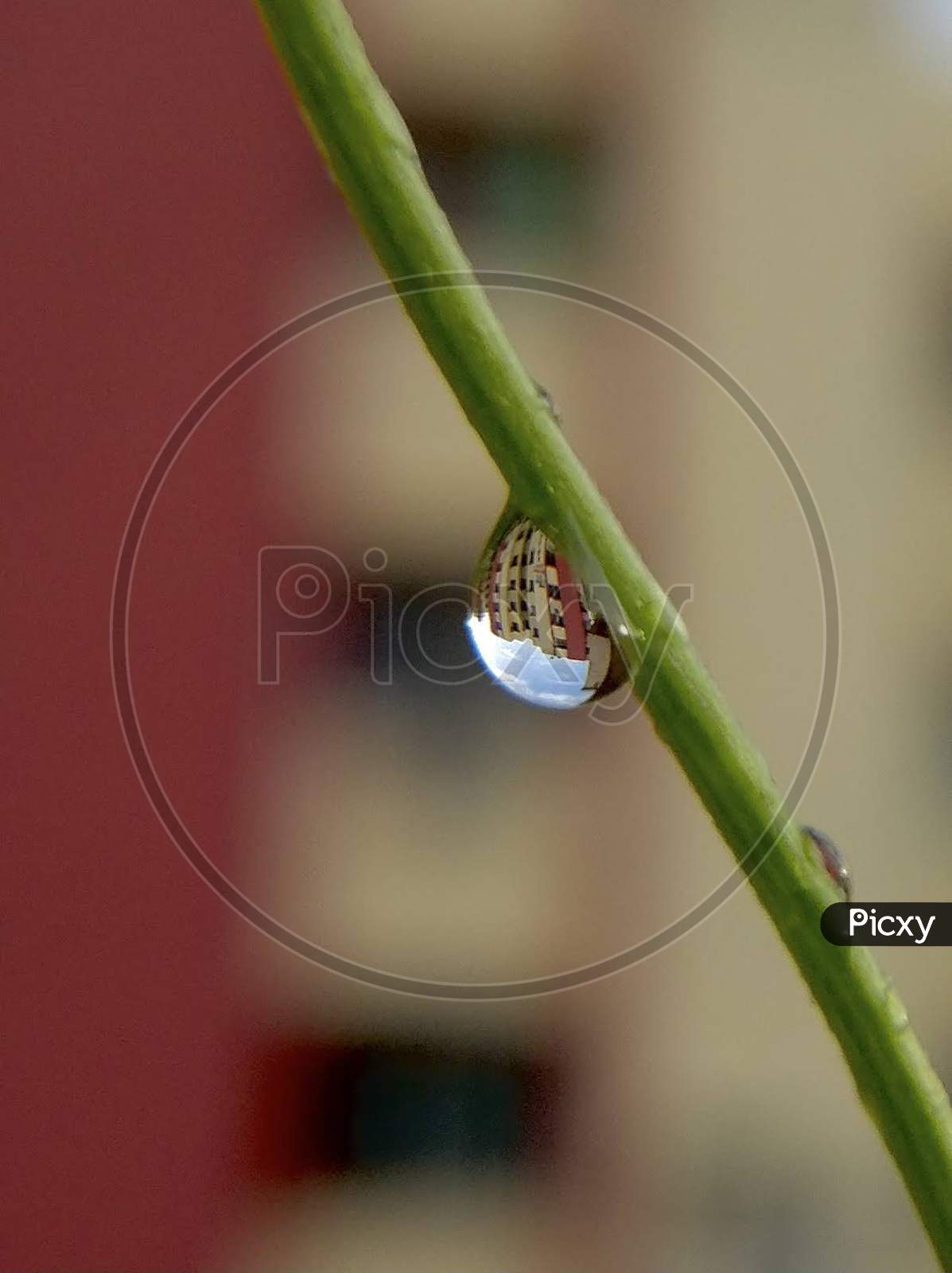 Building Within A Dew Drop