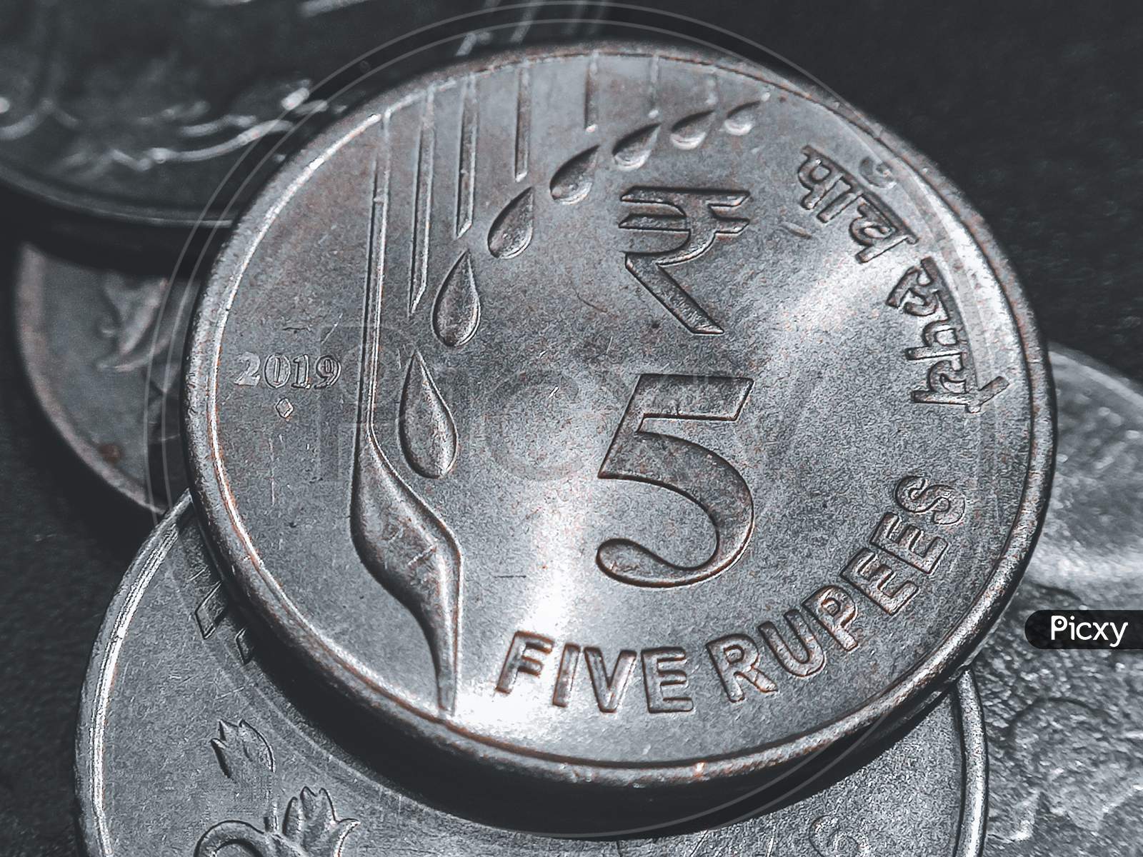 Case up shot of 5 rupee coin