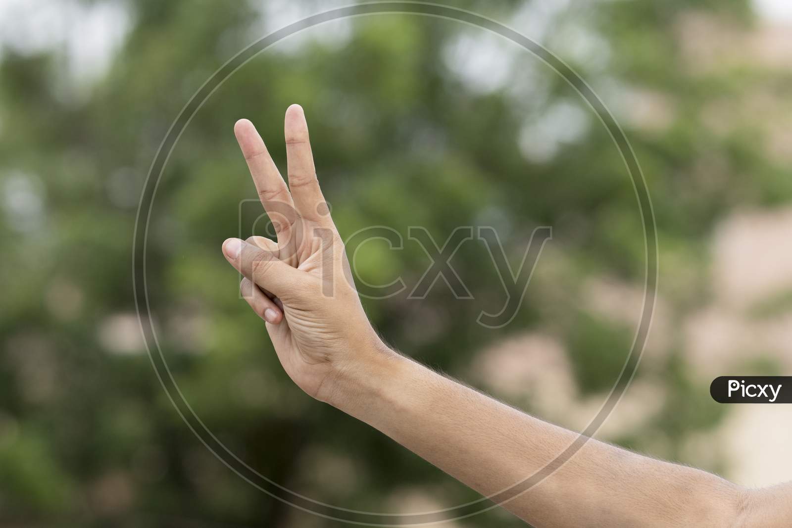 Male Hand Gesture And Signs