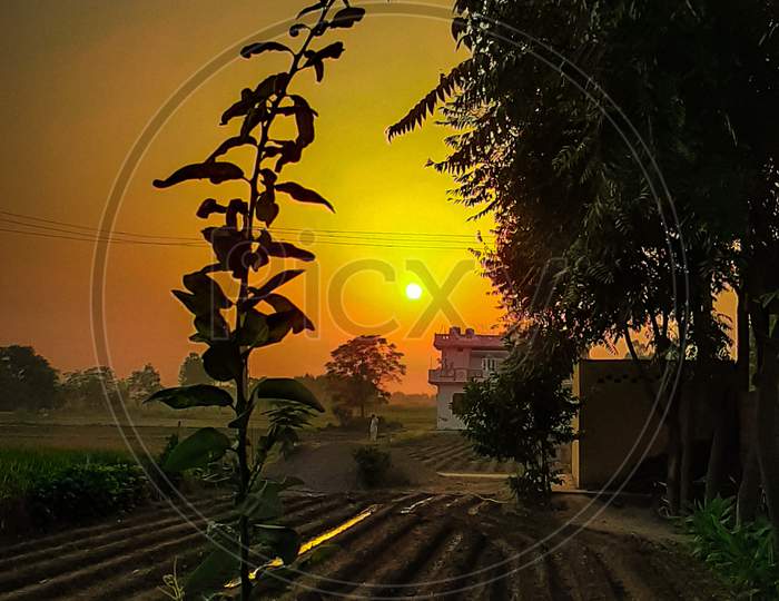 Sunset in country side punjab