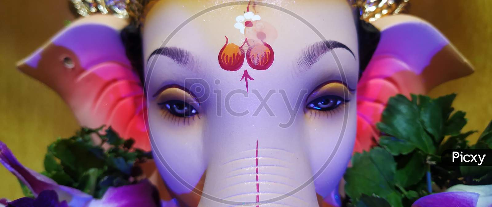 Ganesh idol eyes