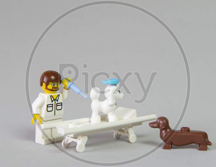 Florianopolis, Brazil. September 19, 2020: Vet Minifigure Giving Injection To A Dog While Another Dog Watches On White Background. Concept Of Care For Pets. Selective Focus. Poodle And Dachshund Dogs.
