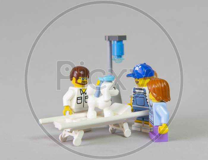 Minifigure Of Veterinarian Examining Sick White French Poodle On A Bed At The Clinic With His Owners Watching Him And Concerned About His Health. Concept Of Animal Care. Selective Focus.