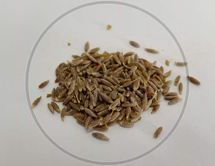 Closeup Macro Picture Of Cumin Seeds Widely Known As Jeera (Jira) In India