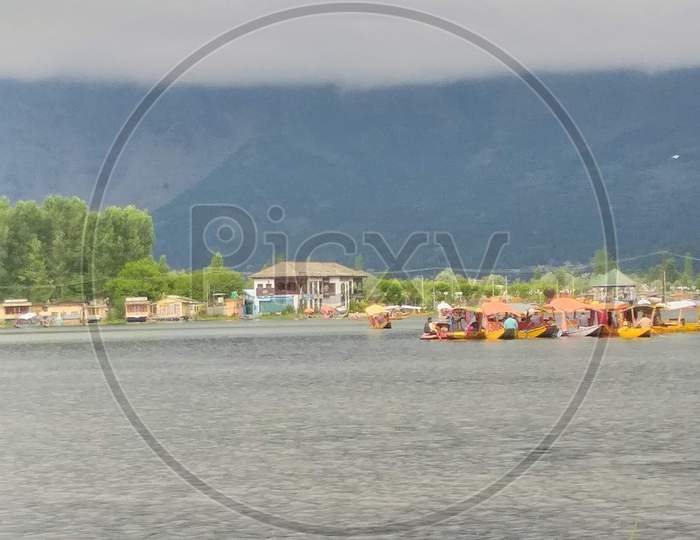 Dal lake  shikaras