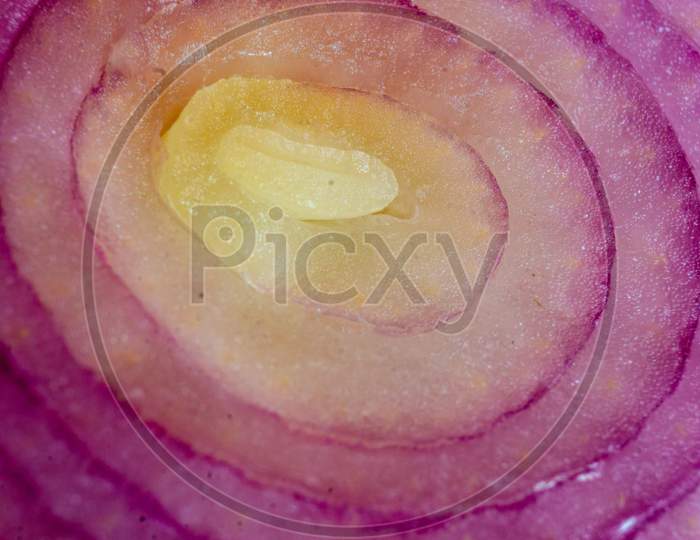An Onion Slice Closeup Photo