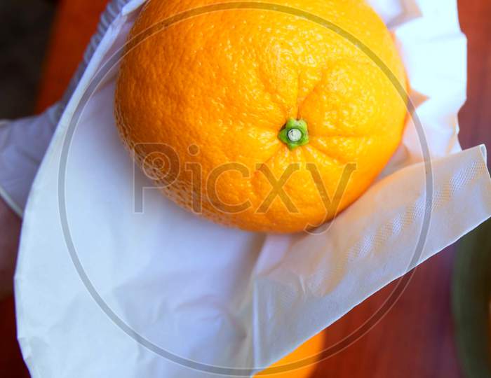 A Young Woman Carefully Selects Fresh Oranges