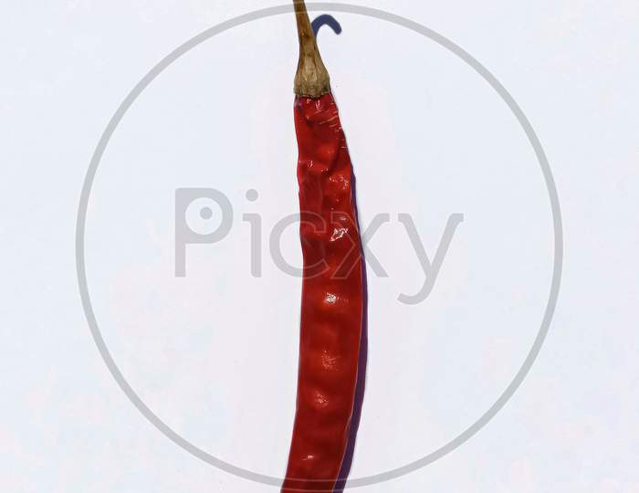 Picture Of Kashmiri Chilli (Mirch) In Isolated White Background. Selective Focus