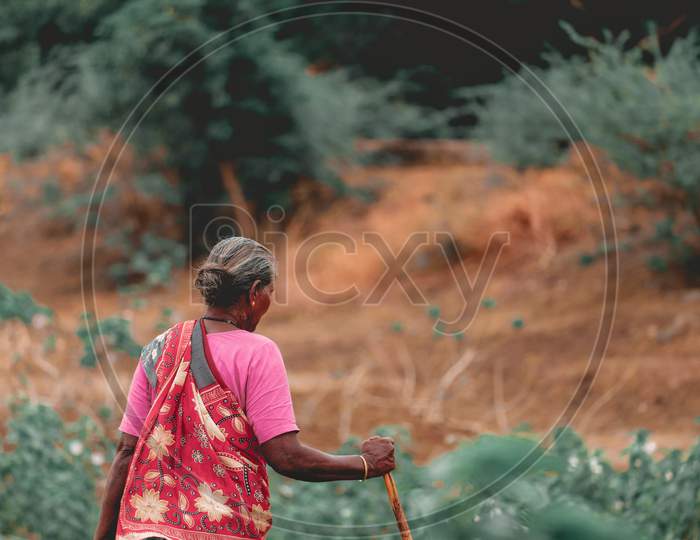 Old senior citizen taking a walk in the field in Tamilnadu, india. Post processed with teal and orange filter.
