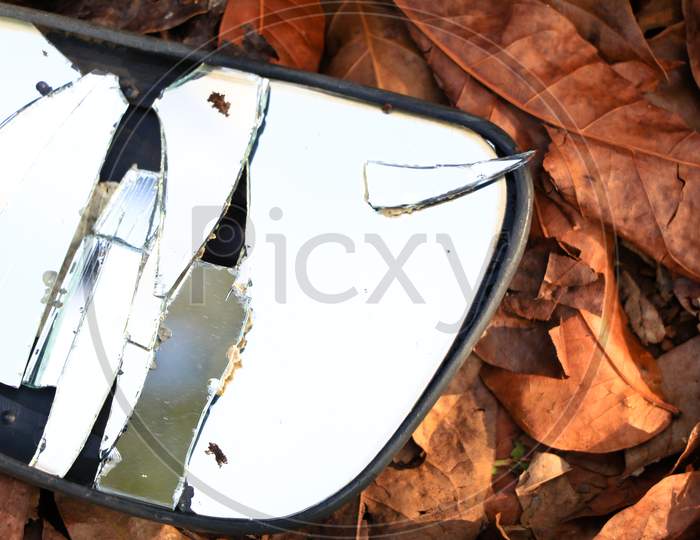 Broken Rear View Mirror Of A Vehicle On Dried Leaves