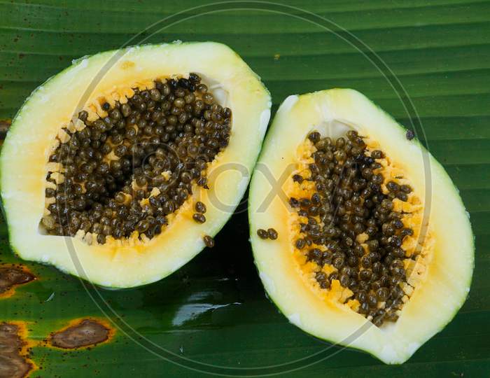 Half Ripe Papaya Fruit On Leaf Of Musa