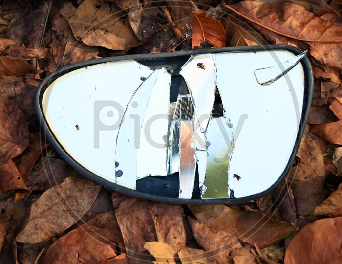 Broken Rear View Mirror Of A Vehicle On Dried Leaves