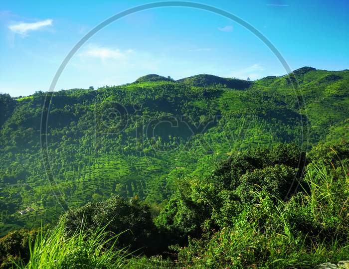 Green mountain valley of coonoor