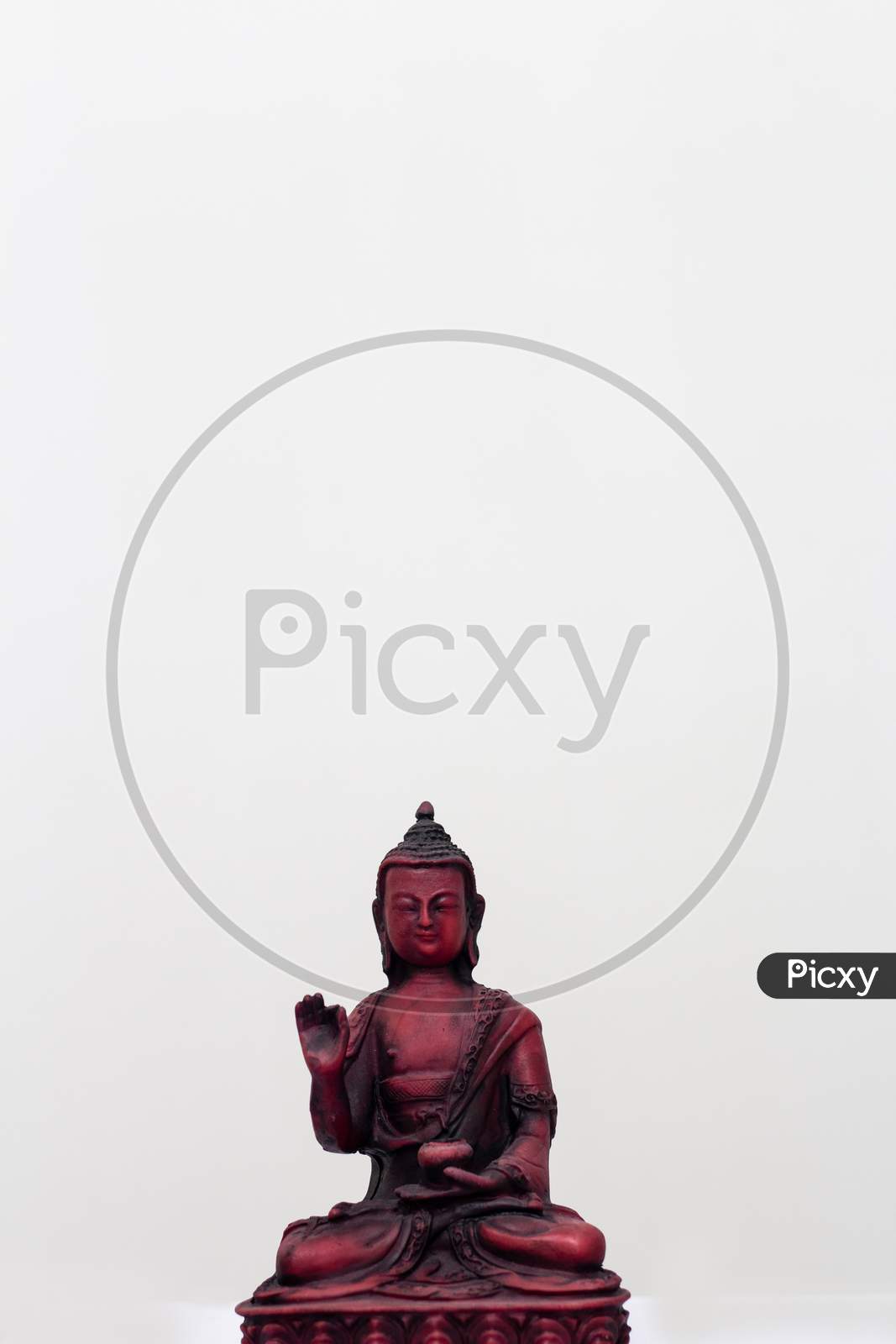 cute buddha in plain white background