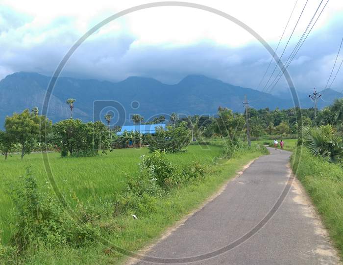 View of the road between rice fields with mountain background