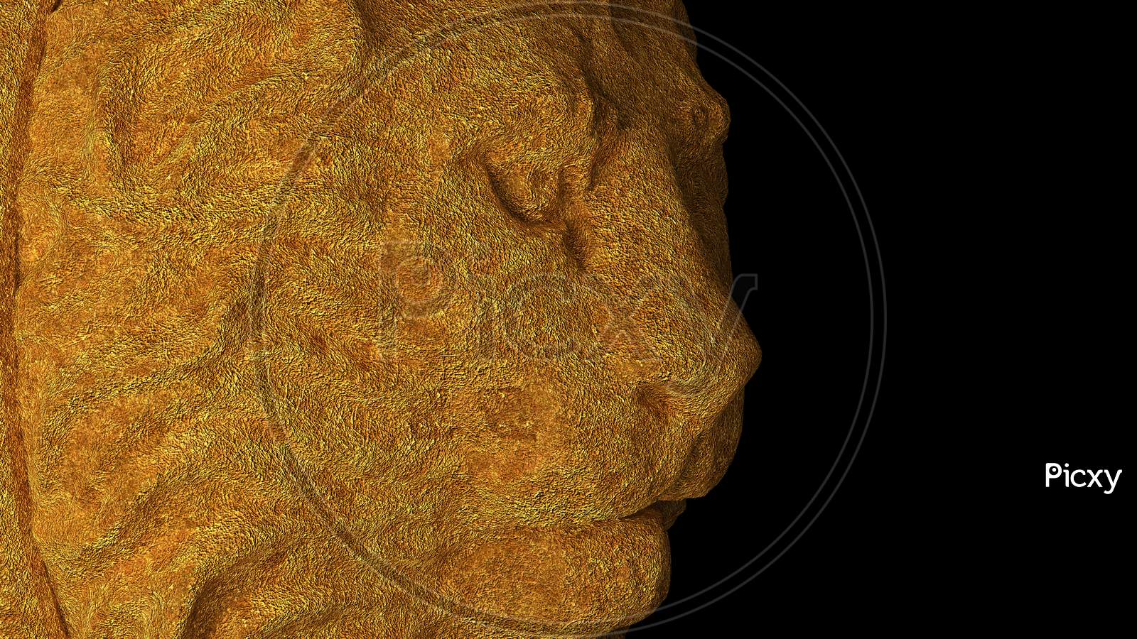 Lion Close Up Face Showing On Black Background, Illustration. 3D Rendered.