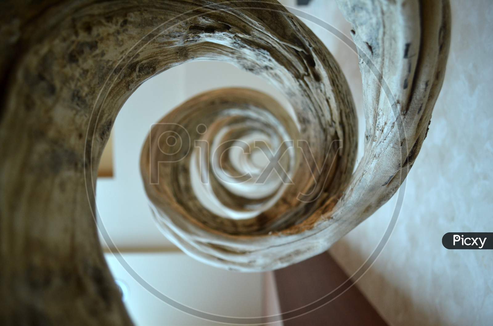 Abstract Spiral Wooden Art Piece