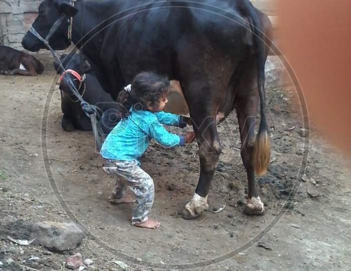 A boy with cow